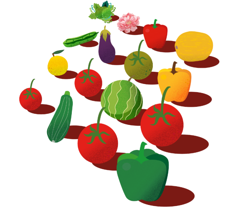 frutasyverdurascoex-03